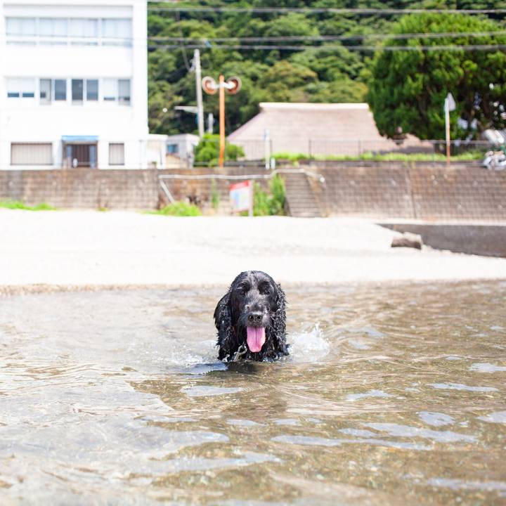 7a03292b 740c 419e a5c0 cd6f433c2588 1564492686130