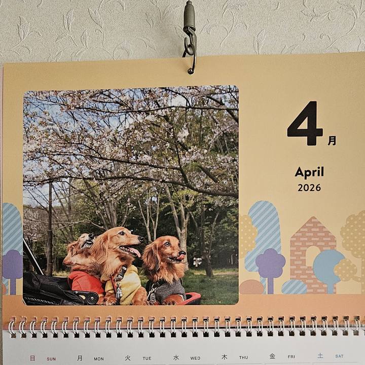 7a033a1a 55f1 46f2 a237 62a6dd2e56cf 1775261398326