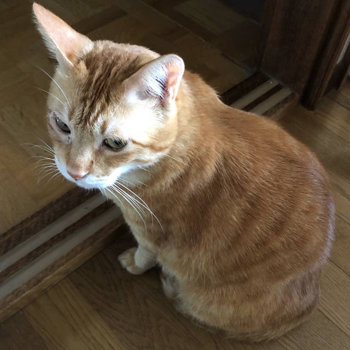 7a036591 3e7c 4d4c 9b32 88f29907a566 1599953130927