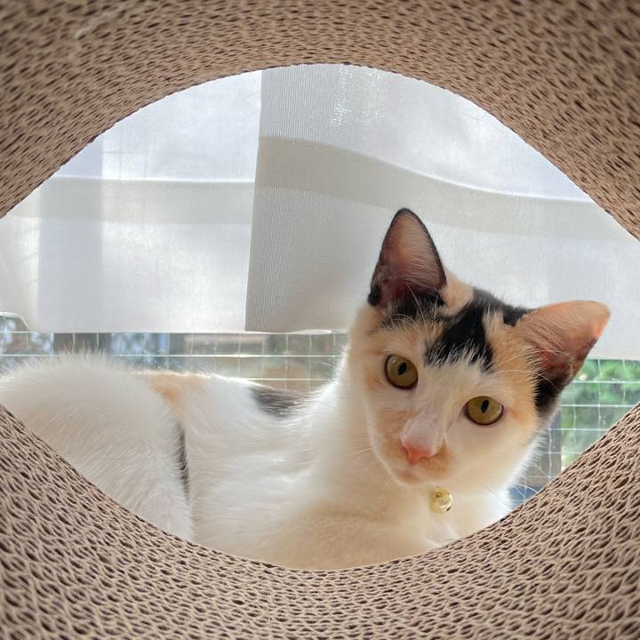 7a037e71 ec5f 464a 91b8 7c51adca19d6 1664326106221