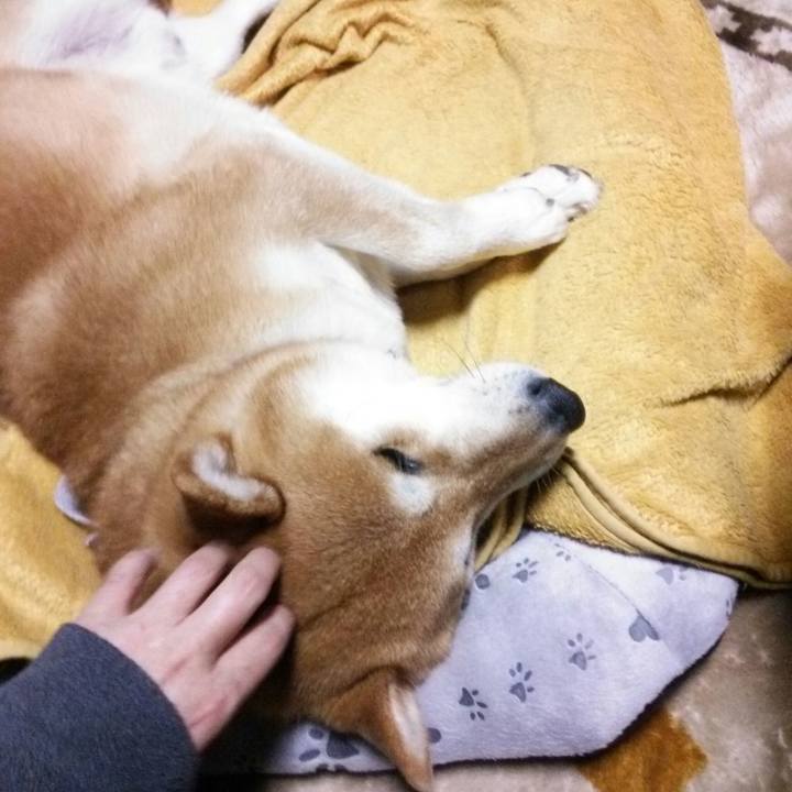 7a03a33a b6e4 4f82 8b11 a09d93788a5e 1515931069400