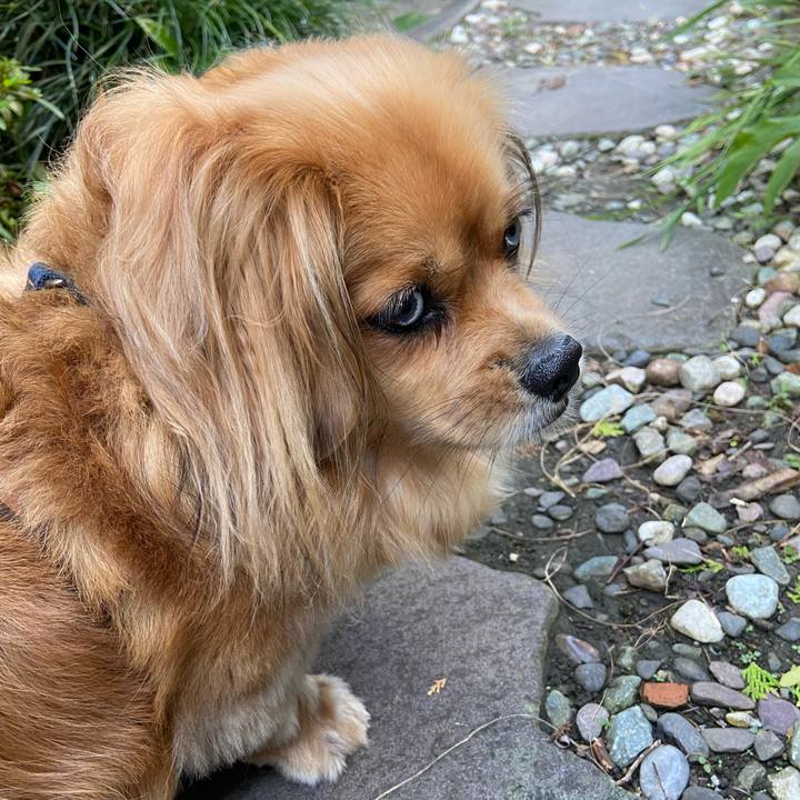 7a03a41a 5661 4b42 a6e7 5da7c187f436 1593392063023