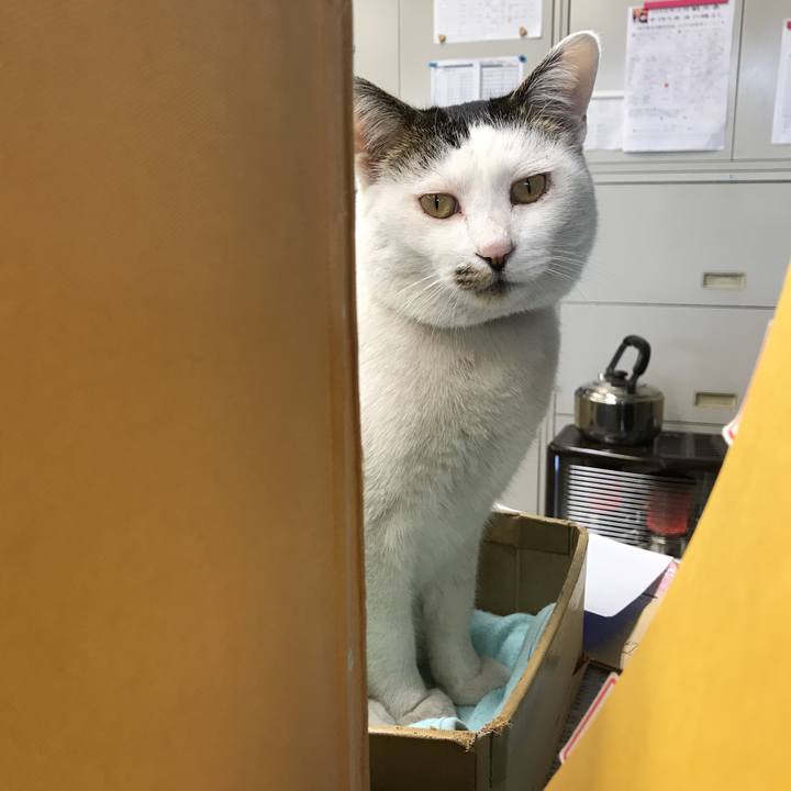 7a03c052 1bce 45d7 8332 71ff3d8ab697 1520320523504