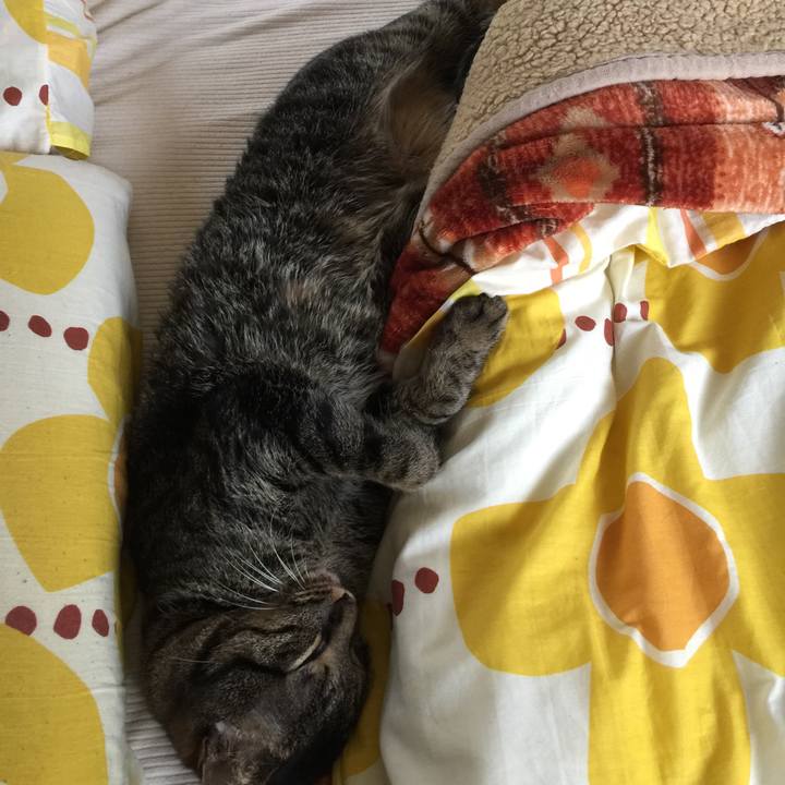 7a03d4d0 9deb 456b 96f5 7a3a105b1d68 1526354438387