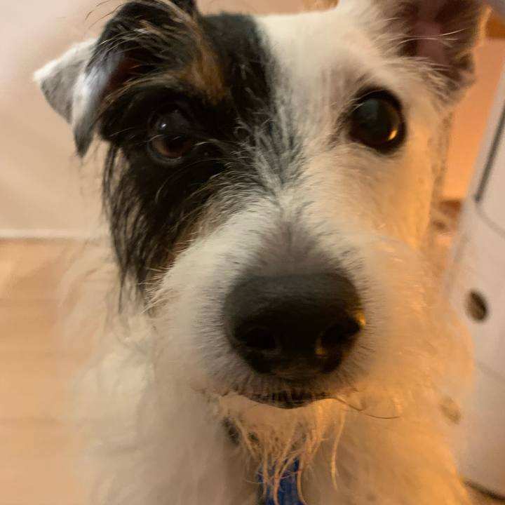 7a03fe2a abd7 442a 9d25 0e3b967bb803 1629719394088