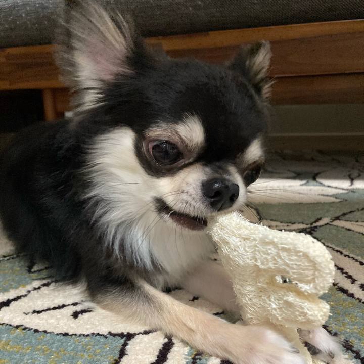 7a03fe7f ef9d 4104 bc4f 2796fafdd9c5 1621777876334