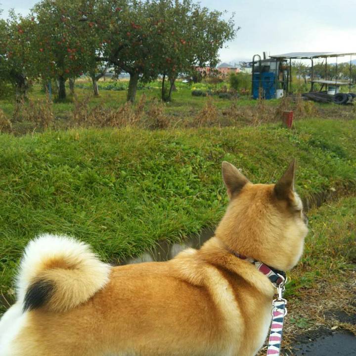 7a04216e c68d 41df 842a 3edddd40d1f9 1509779234356