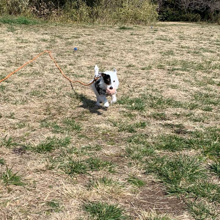 7a04294a a733 409c 81b4 59c5c731ee83 1710465601295