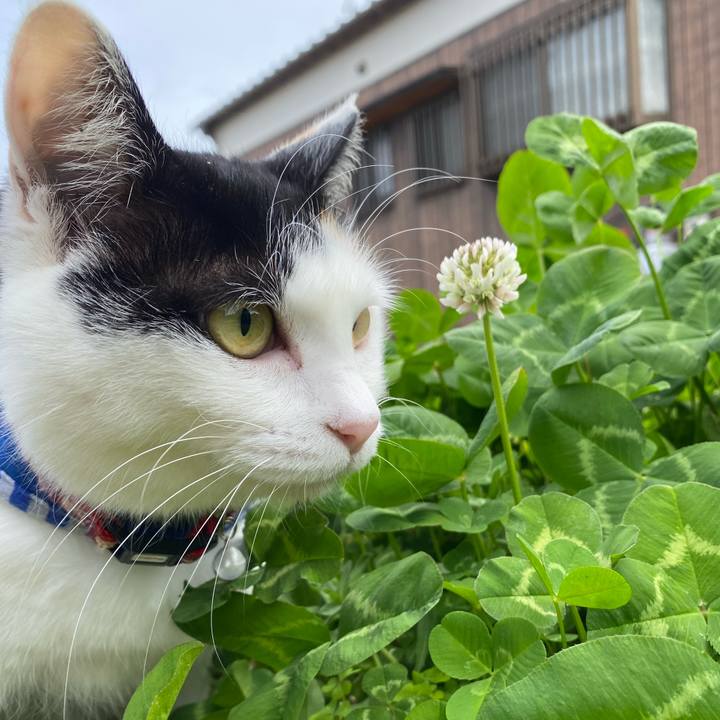 7a0435e9 bcd9 4567 ab1a ce1180e62881 1649761288188