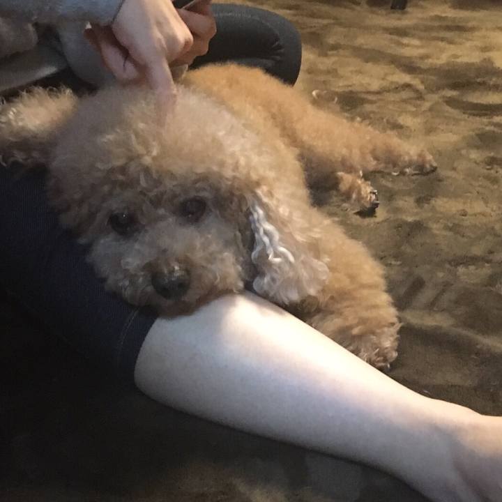 7a0443fd f68a 4618 aed0 b5e5eceb3e26 1532349404843