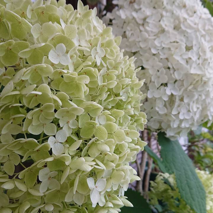 7a04630b 022f 4bcb b0b8 9a64836d93c7 1593049117773