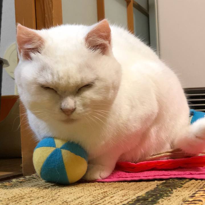 7a0473cc 943b 43c0 887c e7ad96dcc4a0 1531572919169