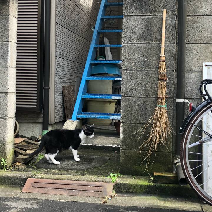 7a048a51 ac91 466e b66f e940bcfbad04 1594647580907