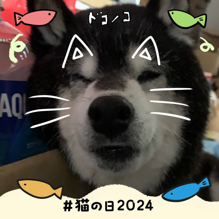 7a04ca03 d093 44f2 a5fa 823406f8d76d 1708600023002