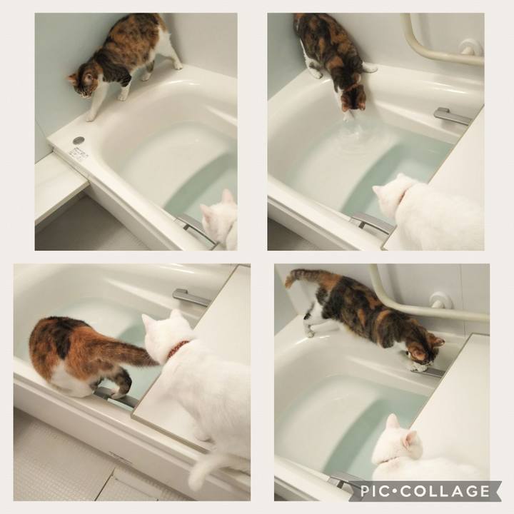 7a04cb7c 65fb 442a 8fc7 18abeef3f61b 1679016885413