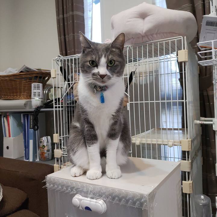 7a04d2a1 b5d7 4b4d b9ea 03eb58df8de6 1704376133636