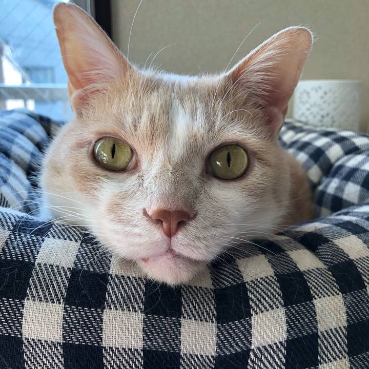 7a04d9f5 c90d 4559 bf91 bdb1174a3c72 1517618334365