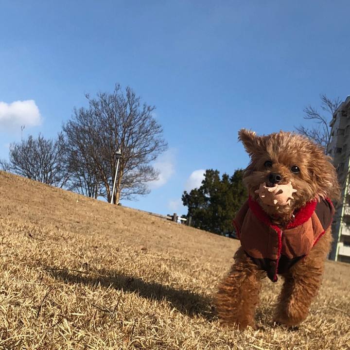 7a04eb96 2f3e 4a7b bd85 87d7453a25e6 1549107396145