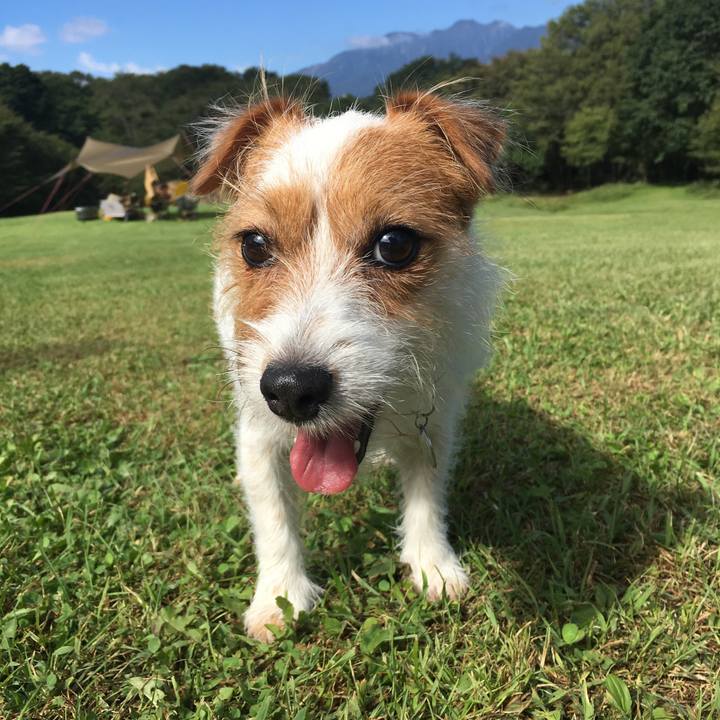 7a04ec61 928b 4288 b613 a147e89aee26 1568506772627