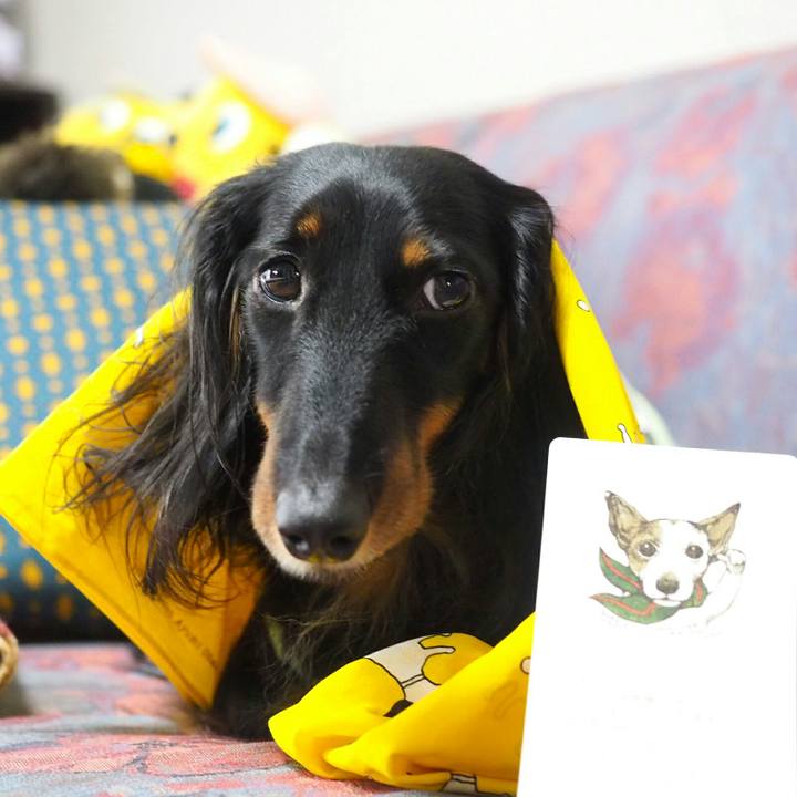 7a04f8ab 4e78 4775 8140 6771edf2a25b 1527477345510