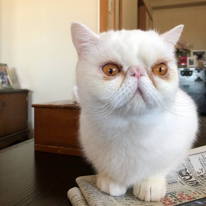 7a0550ef 1eb0 40f8 8276 cf30810ad7a1 1610248595259