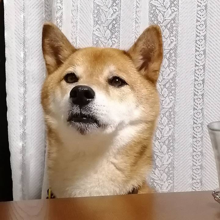 7a055c26 ea3b 48ca 8e31 4531eea183fb 1627824888785