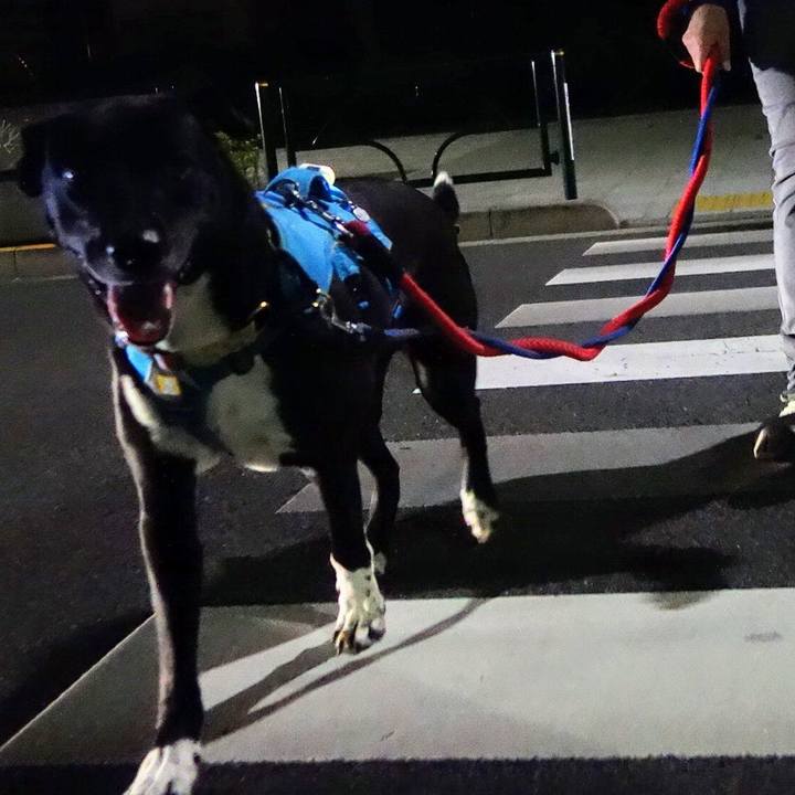 7a05706a 7f37 431e 8019 9660f7719b5d 1634310619694