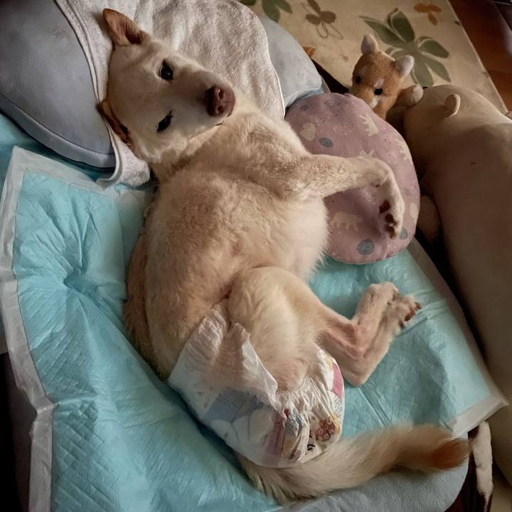 7a058603 ad35 477a 83e8 be6e73eb059c 1684613250420