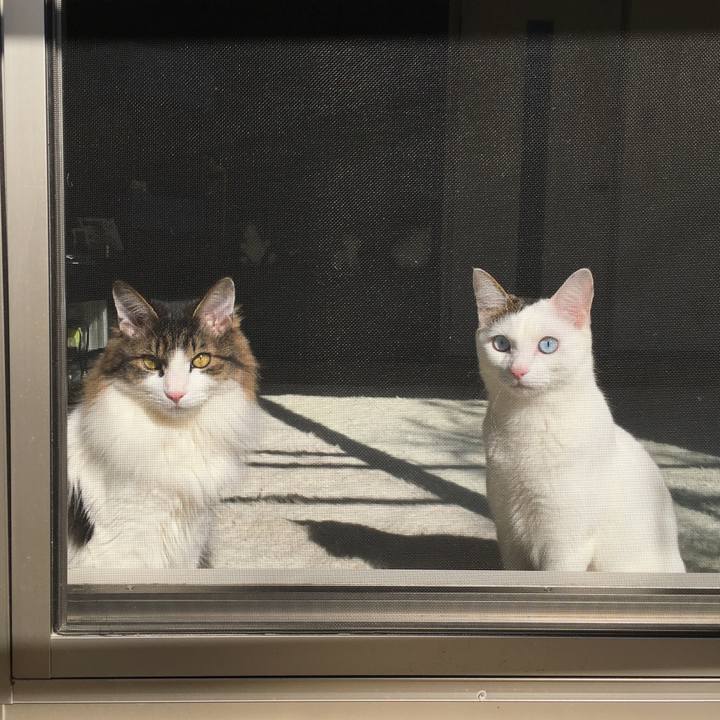 7a05afa7 2514 45b4 88e9 4ec011e2266c 1519107523156