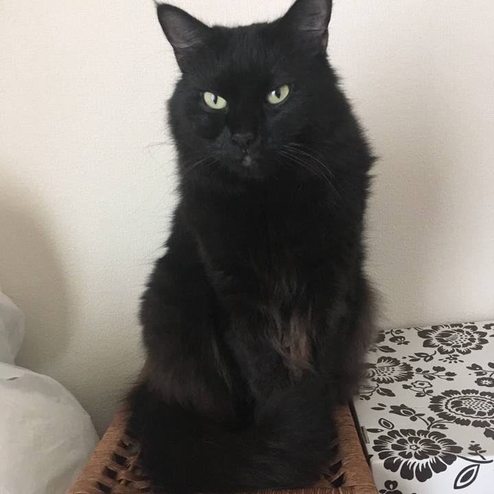 7a05c928 929e 4c89 909d 7d5a4d3fdd8f 1538438061699