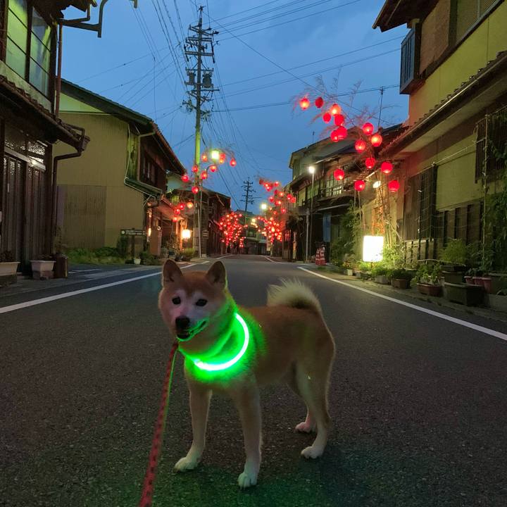 7a05cfd5 f72a 4bb6 af81 36d4db686aff 1689334884311