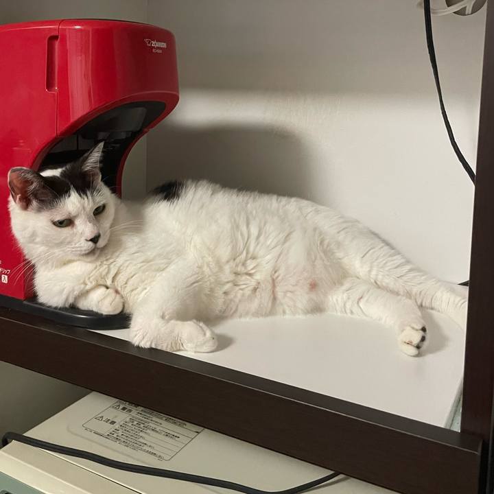 7a05e79d ab76 4867 8af8 23b1cb24c14b 1663404566000