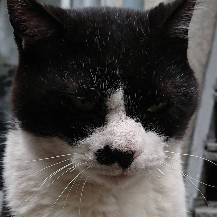 7a05f961 8f5a 4734 9f36 f45610fefa99 1621151883924