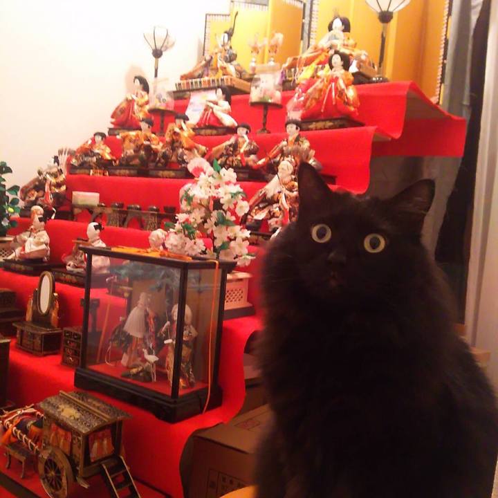 7a0607de 39dd 4c24 b571 7de22b8bcaad 1551709850801