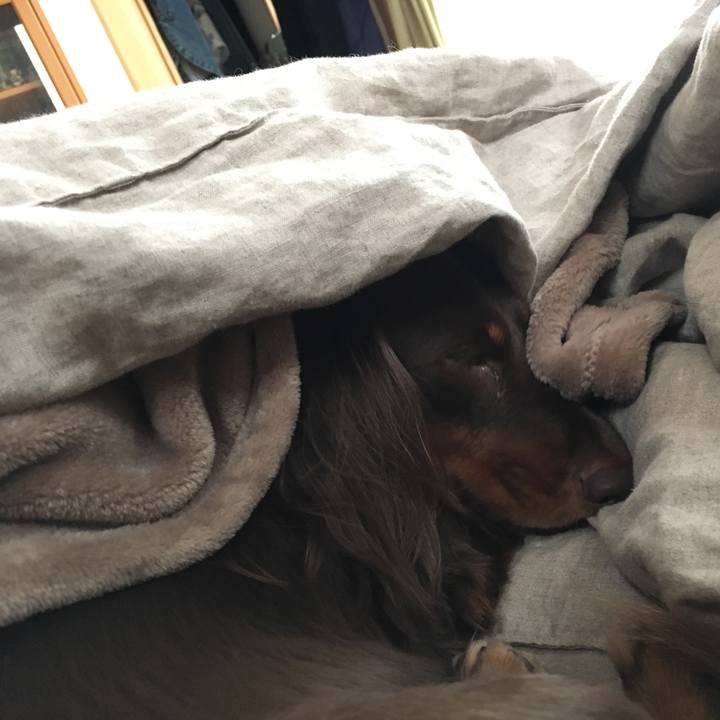 7a061175 04ea 4e4a 8ede 6caa241c48c2 1508800551710