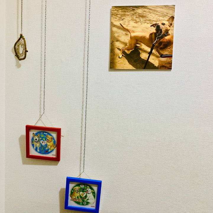 7a063d92 ca38 497d a954 2d99d91cf331 1560606904890