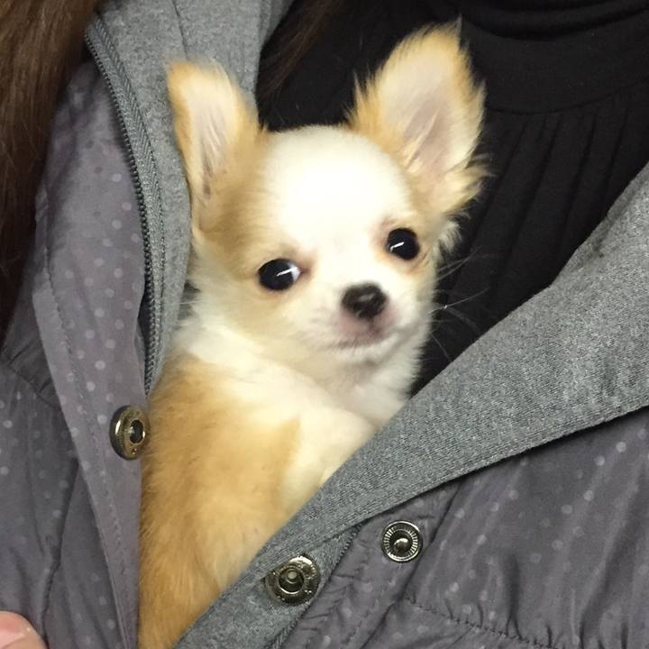 7a063f39 bcef 4d88 bb50 6bdce1470753 1515128401795