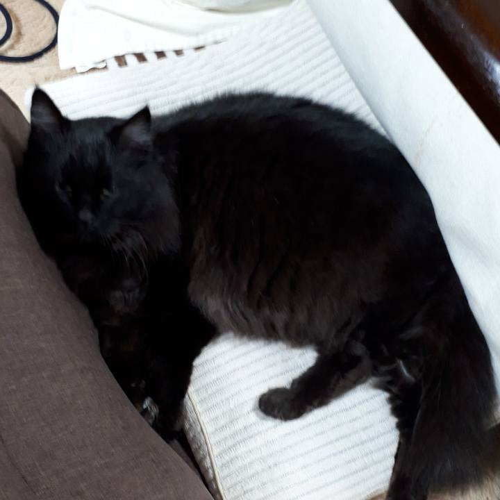 7a064d4b 7513 4327 bf07 1e836dbfeda7 1520202317476