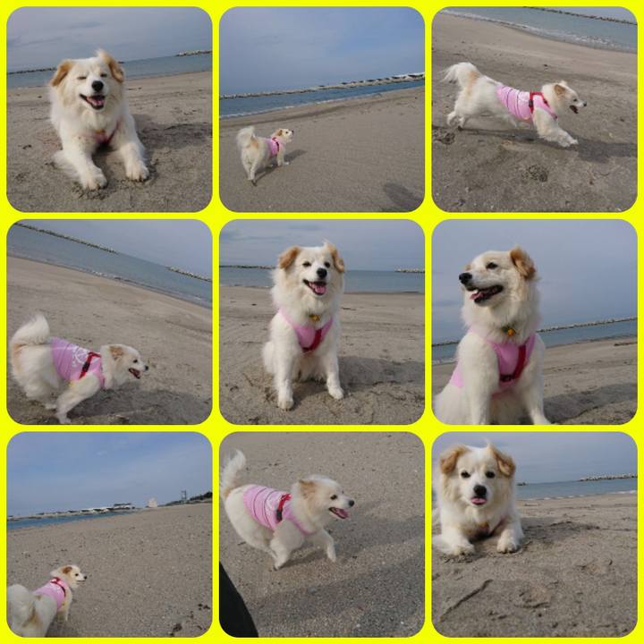 7a06609a f77d 4b38 bf24 dc85d950e584 1523945891381