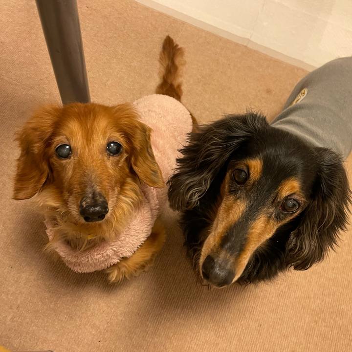 7a066a26 7305 4cec 8573 4683e9baa3fd 1645276676907