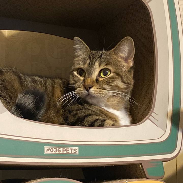 7a06c58f a2ee 4be8 a0c6 5dedeedd74b2 1633518344320