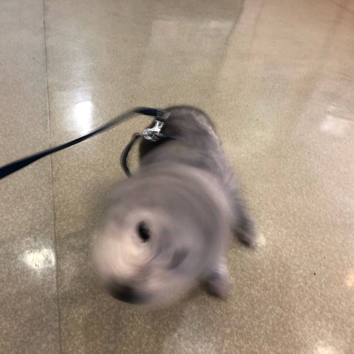 7a06d3d3 c7e1 44de ad4a 8daf07ca228a 1561935197916