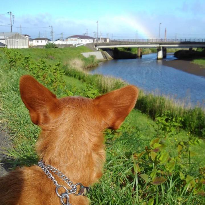 7a06f480 e7e3 4d21 b5d5 a6282f5ff450 1560725946175