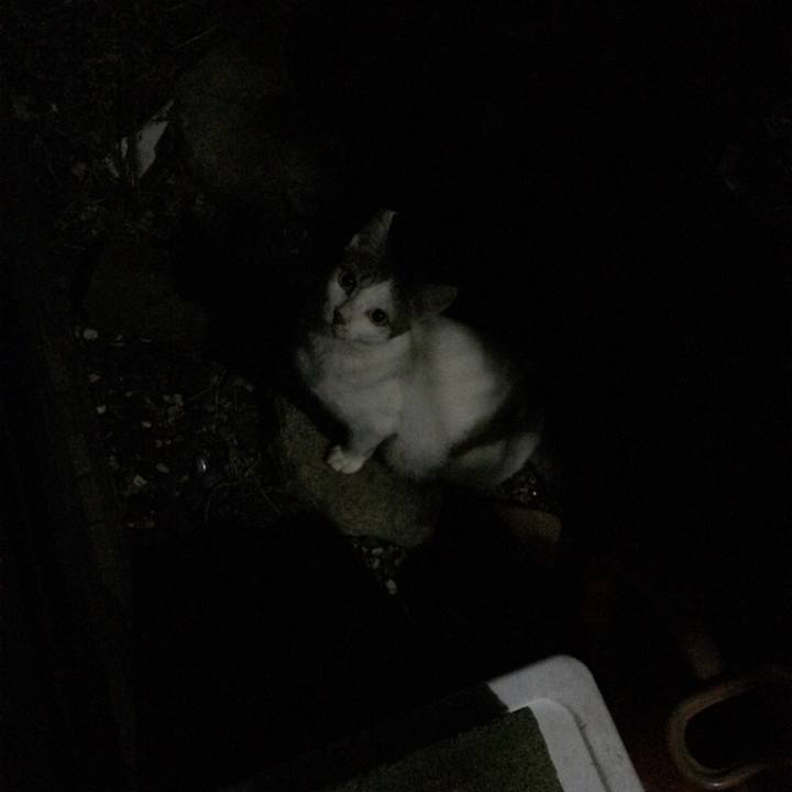 7a06faa6 4f1b 4c5c a7b1 d822ef9c3985 1572093427231