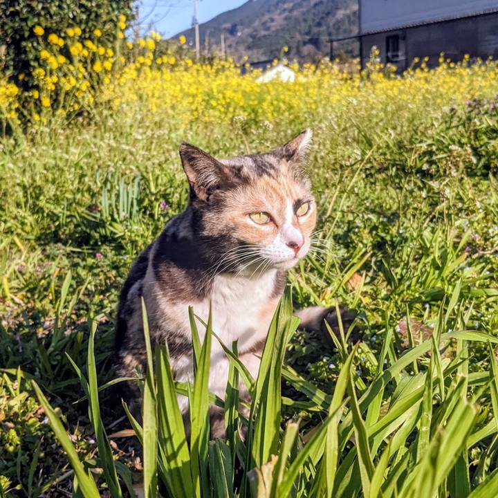 7a0706c3 c55a 4c25 8640 3612122c99a9 1773219400923