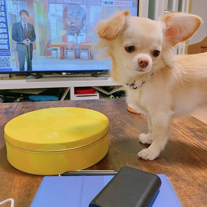 7a0711ae b957 44d6 9dc3 7f14c3e07c72 1610016015396