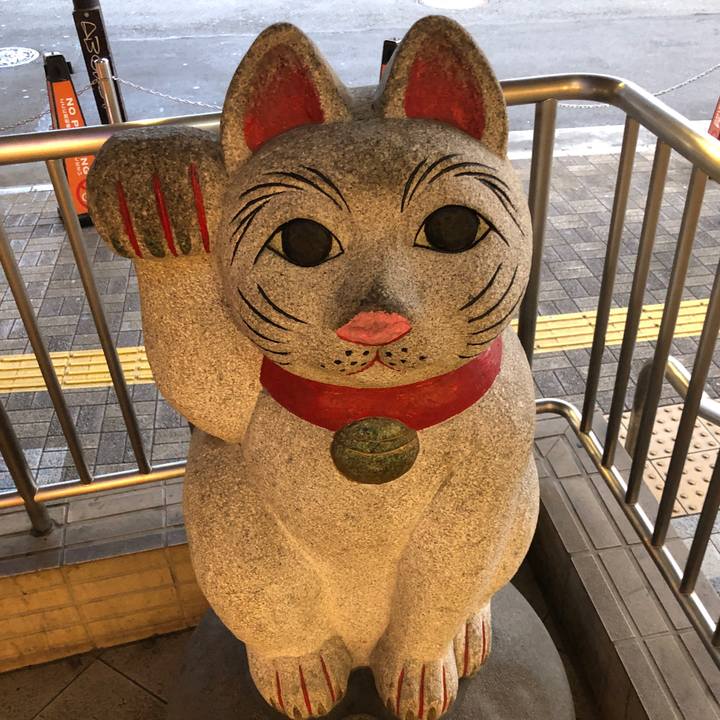 7a072d39 c8ab 4da2 af01 df082f2c20a5 1582358434911