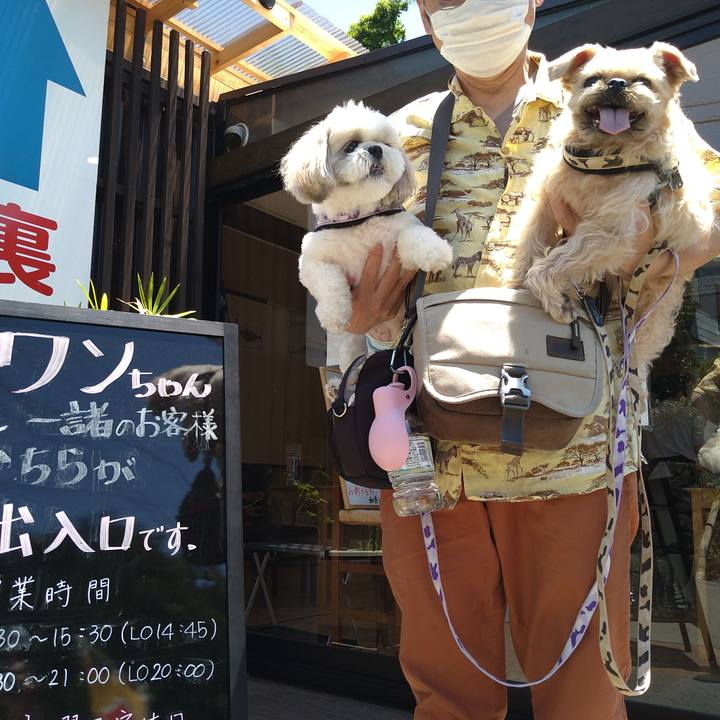 7a07d010 9b88 4ea9 b331 6fadc186ef37 1656130864402