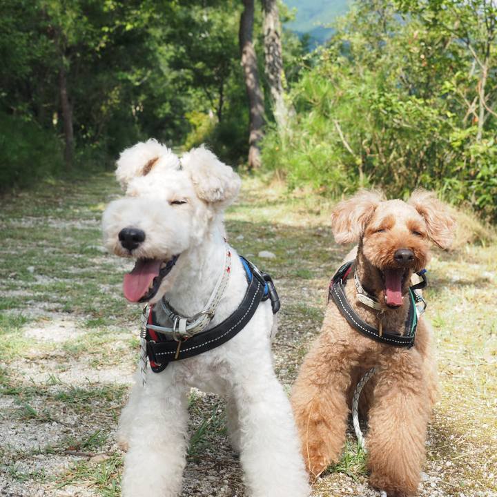 7a07dc77 8b0e 4e29 b801 1ea772e8898e 1568681877894