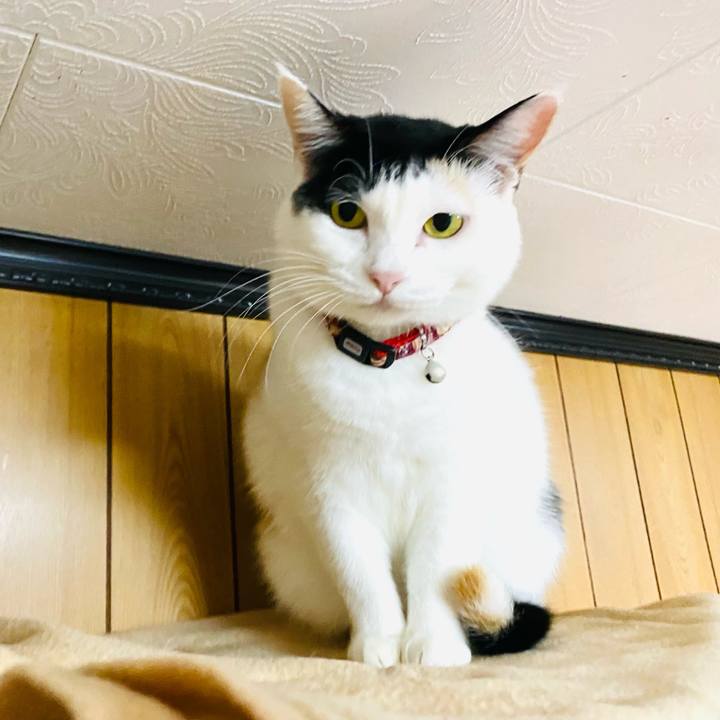 7a07e404 1554 46c3 a3cd c6532fbcc68a 1667563269890